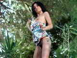 Soraya Jungle